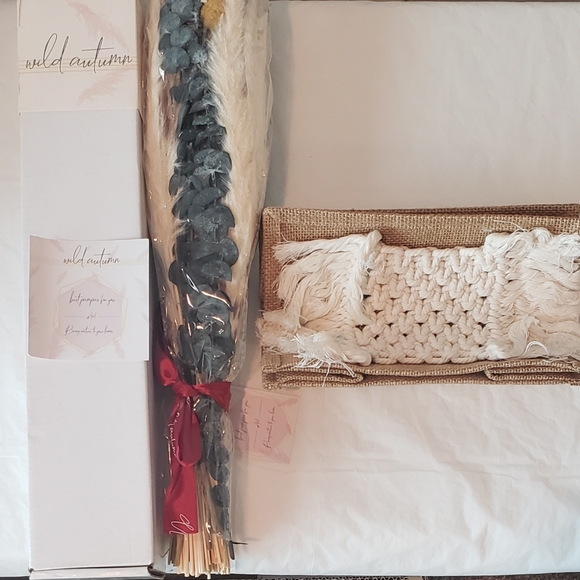 Wild Autumn Natural Pampas Grass Decorations - Bring Nature Into Your Home - Picture 1 of 3